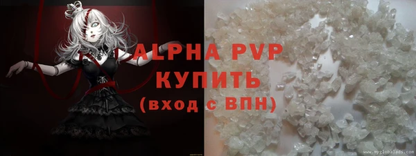 PSILOCYBIN Аркадак
