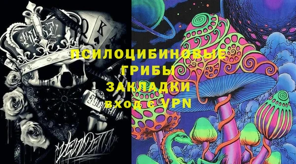PSILOCYBIN Аркадак