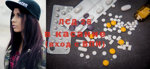 PSILOCYBIN Аркадак