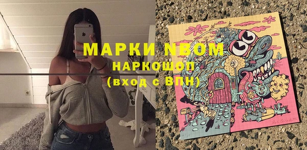 PSILOCYBIN Аркадак