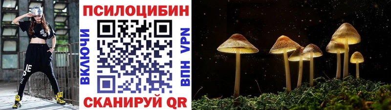 цена наркотик  Ишим  Псилоцибиновые грибы Psilocybe 